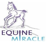 Equine Miracle Logo